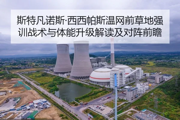 斯特凡诺斯·西西帕斯温网前草地强训战术与体能升级解读及对阵前瞻